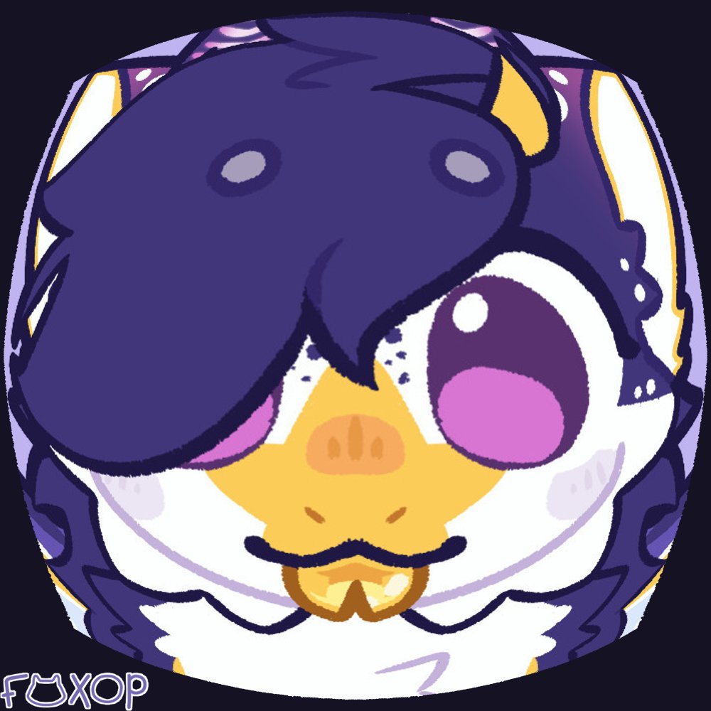 foxop 🦊 tweet media