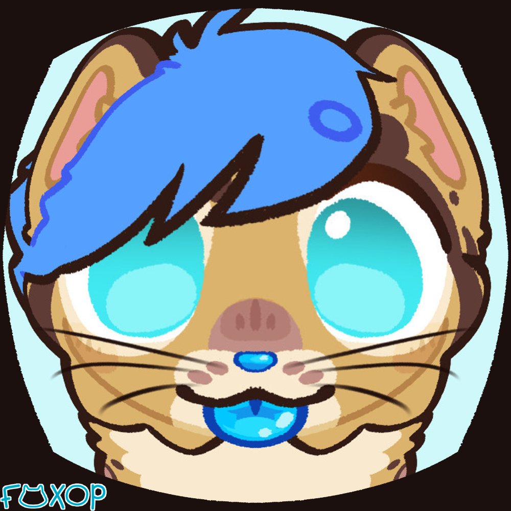 foxop 🦊 tweet media