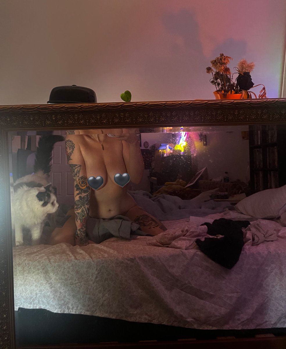 ellen degenerate tweet media