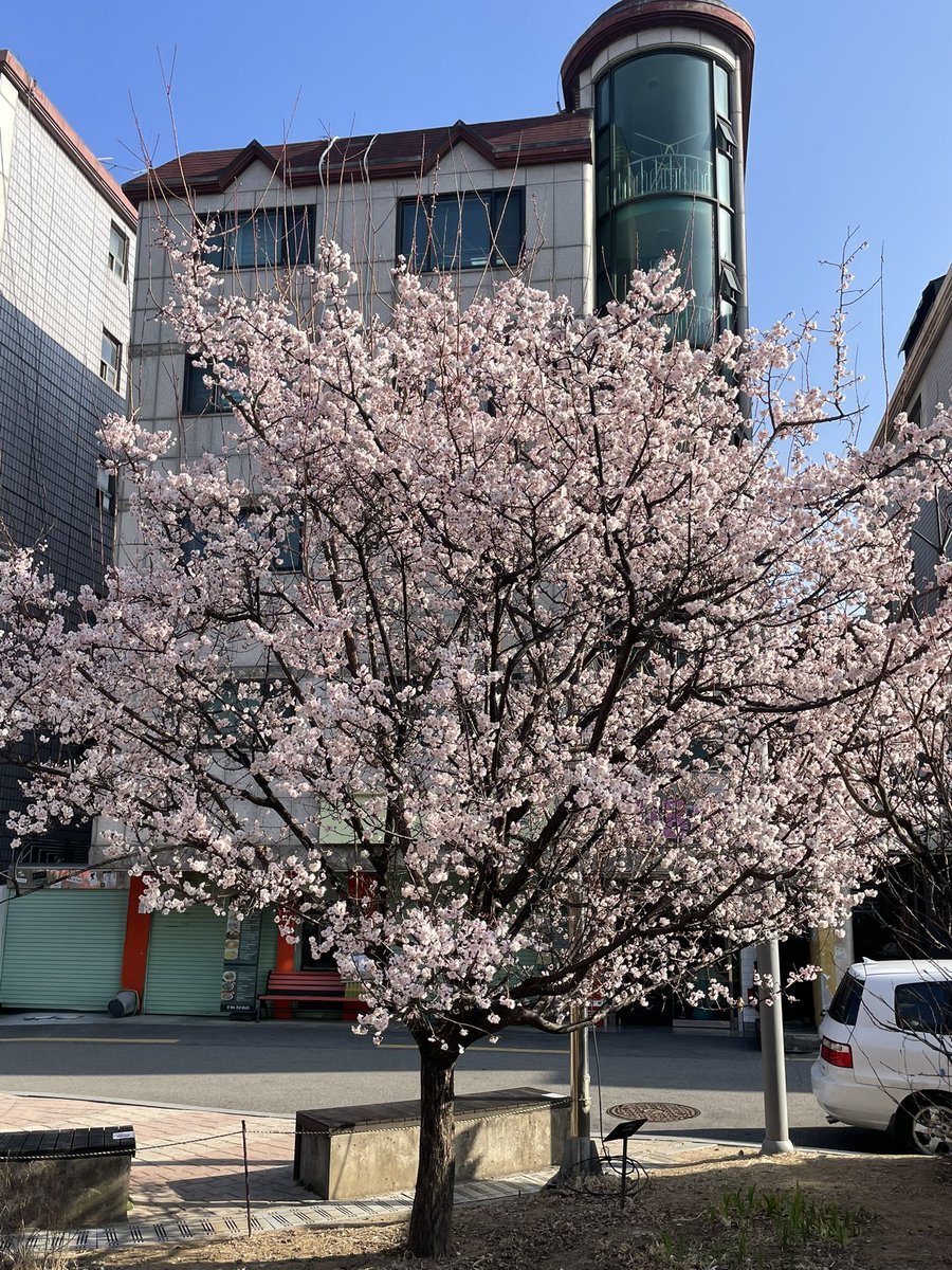 丽芳❄️ tweet media