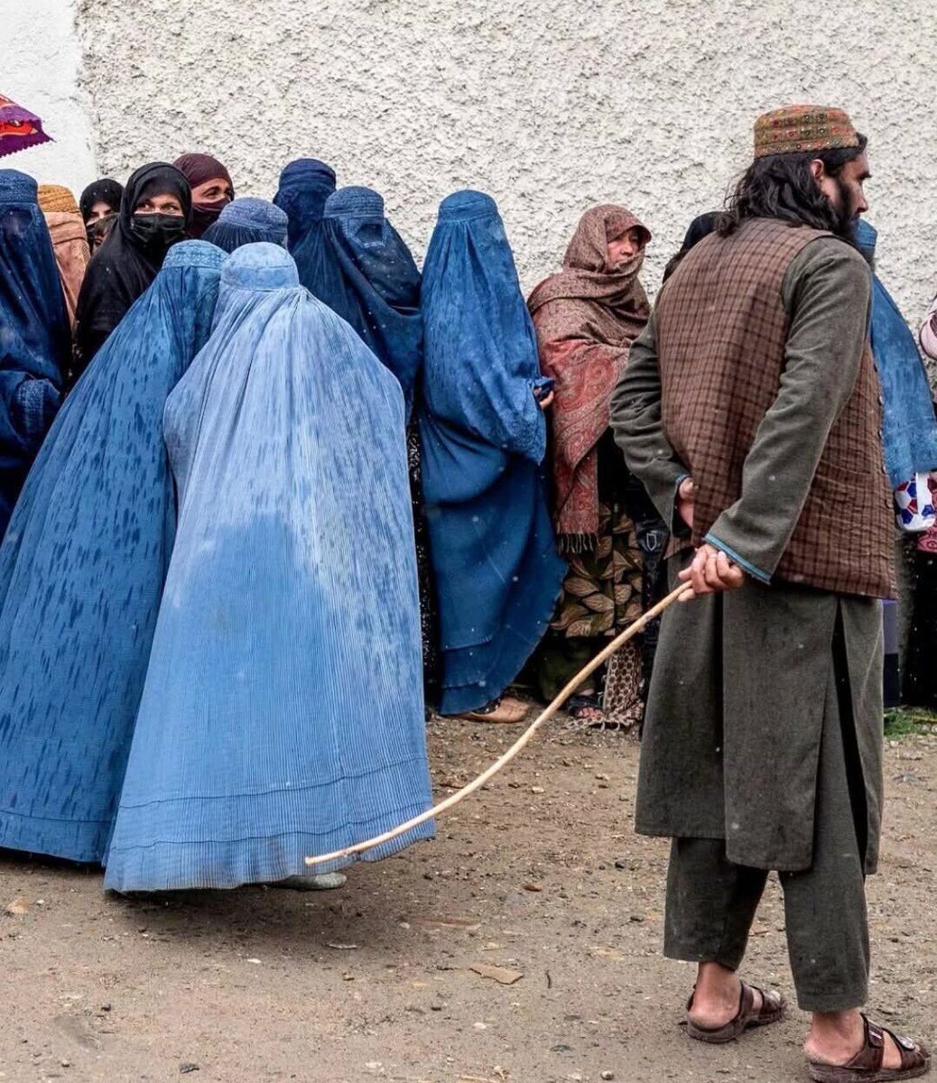 Terra i foc tweet media