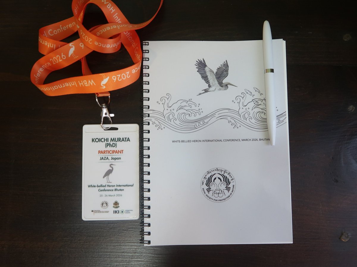 Koichi Murata tweet media