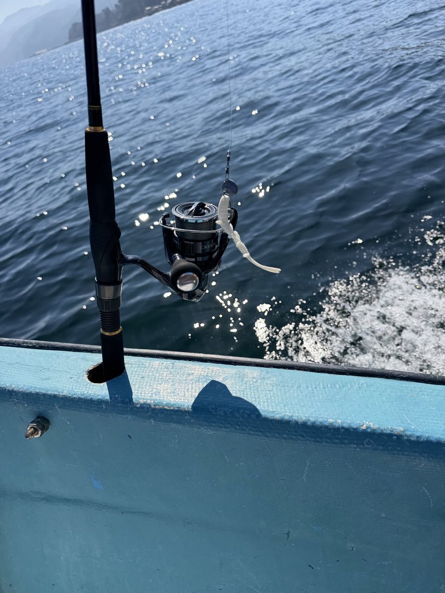 おかにこーん tweet media