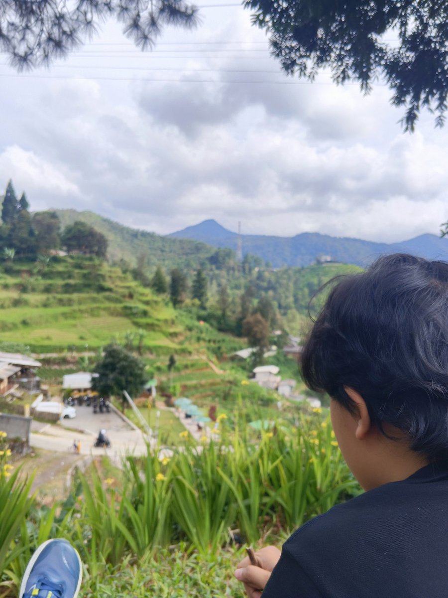 Ambarvoid 🦊 tweet media