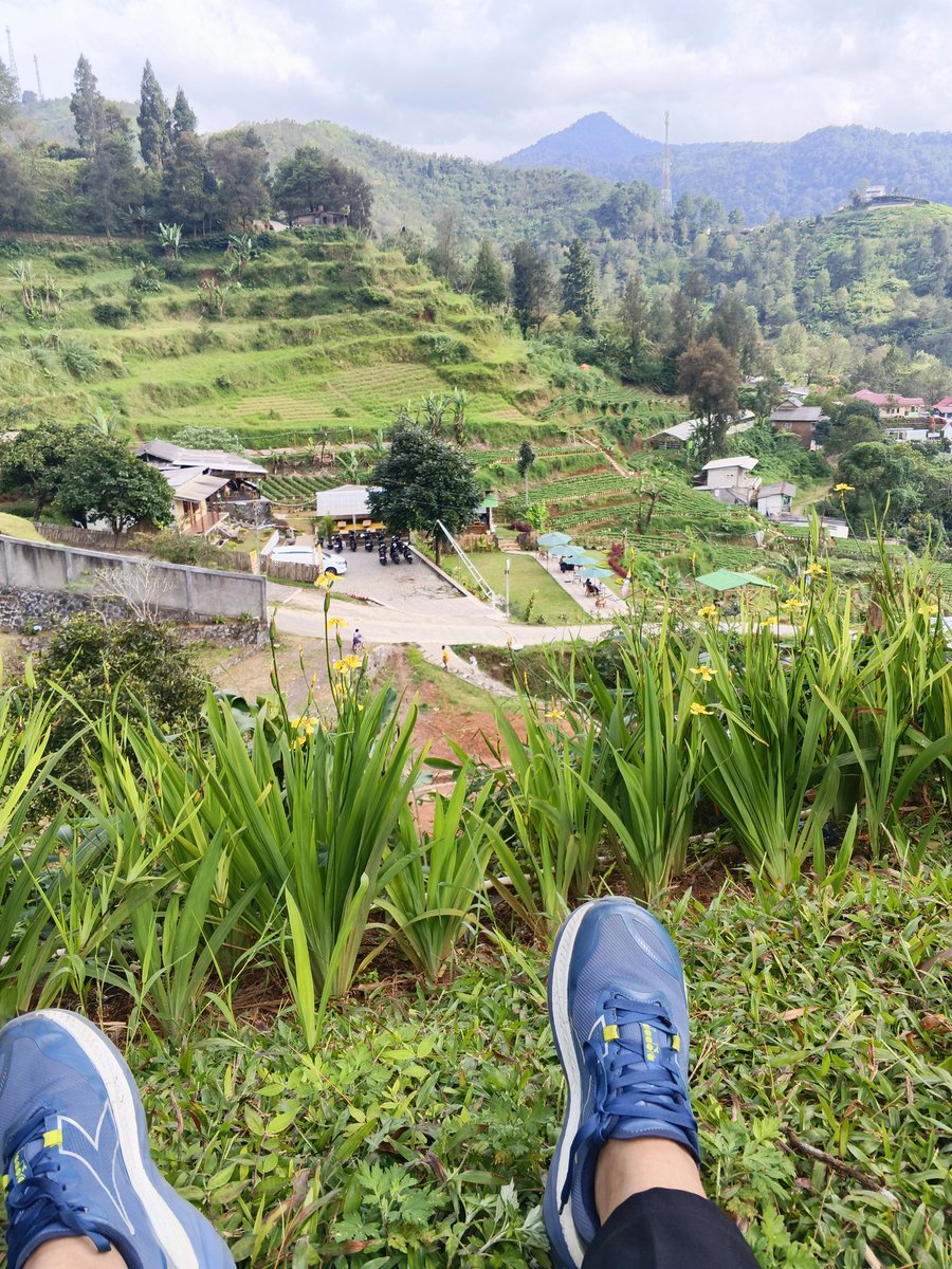 Ambarvoid 🦊 tweet media