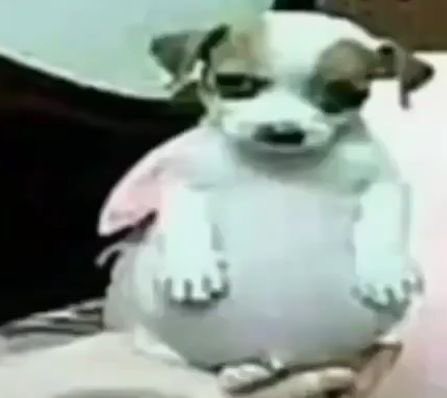 tofii | Enhypen is 7 tweet media