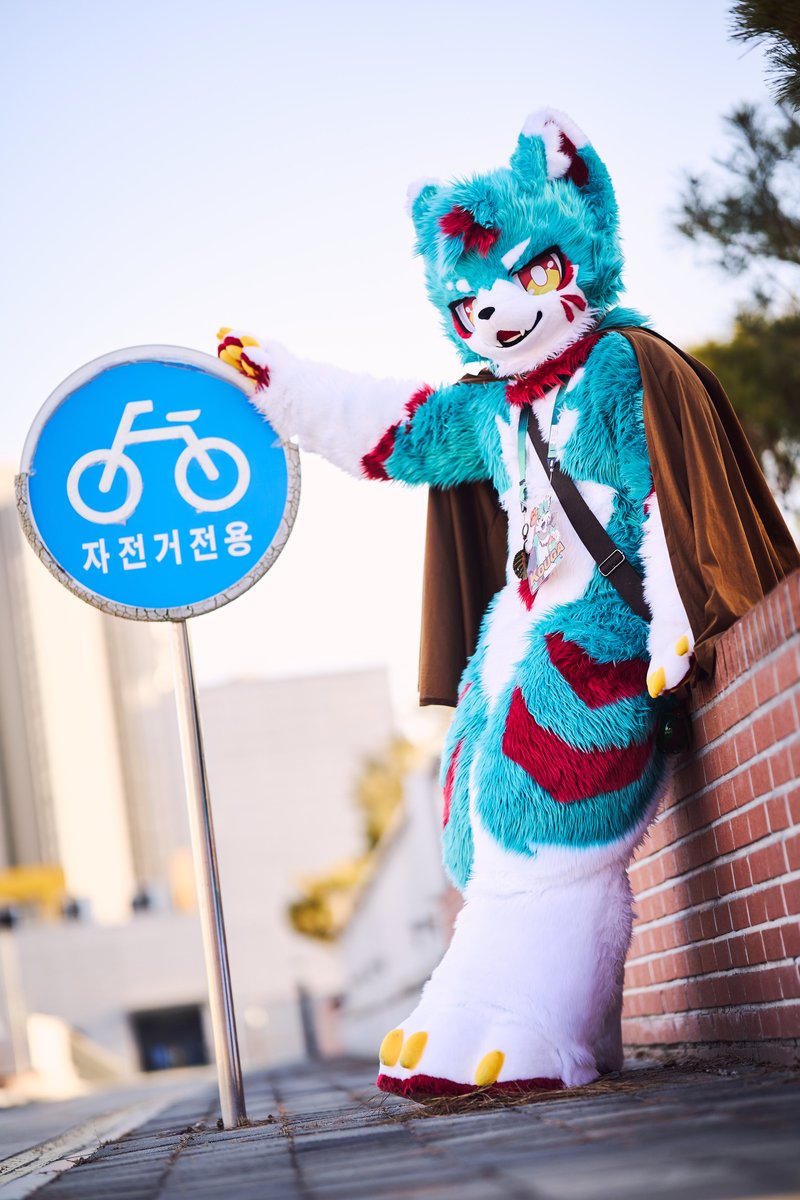 코우가🧪 tweet media