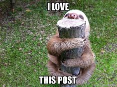 David Molnar tweet media