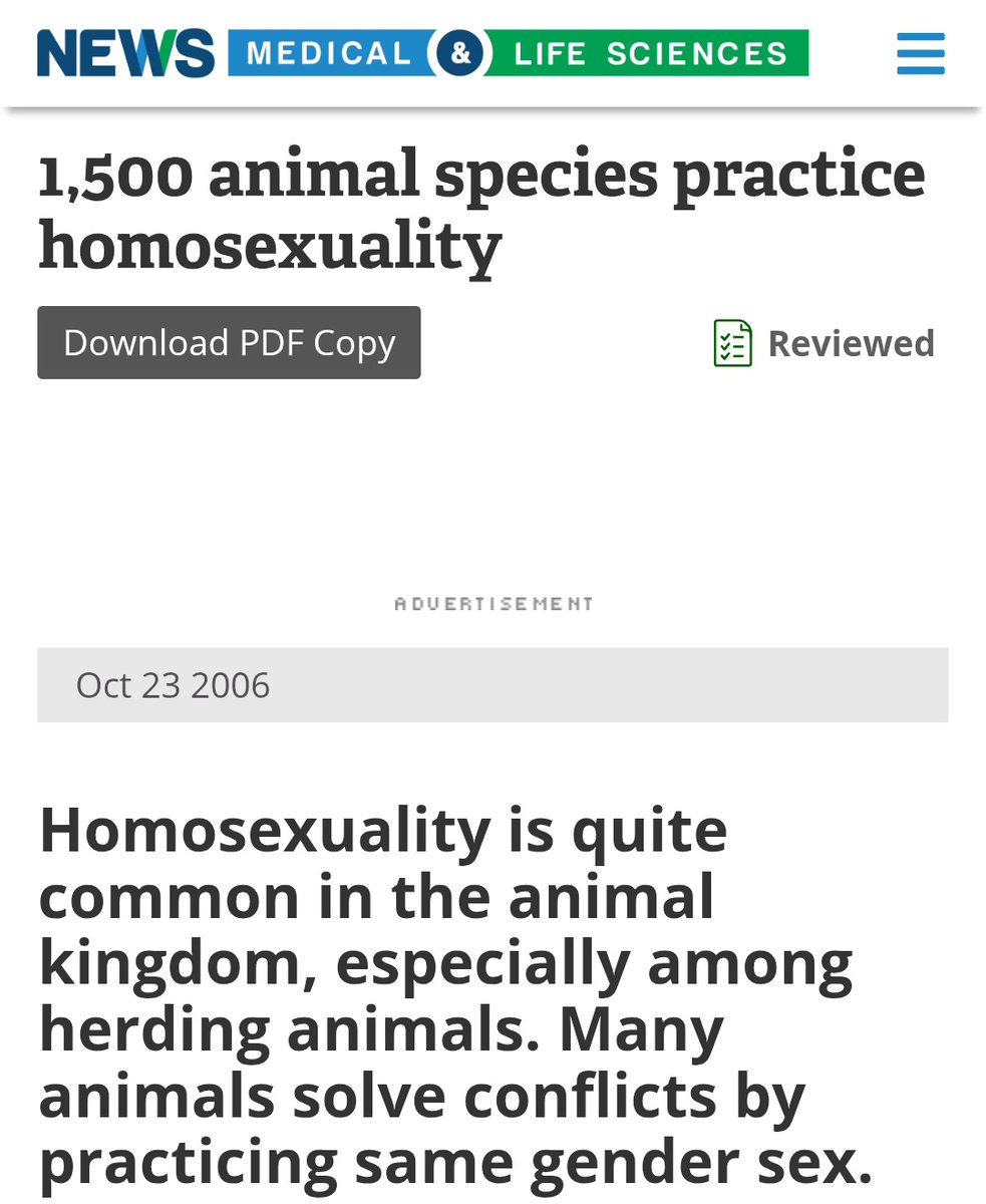 INDO AGAINST QUEERPHOBIA🇵🇸🏳️🌈 tweet media