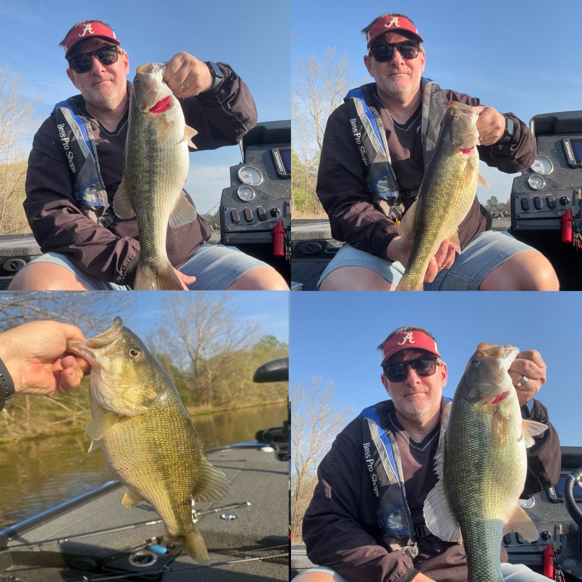 Jasalabea tweet media