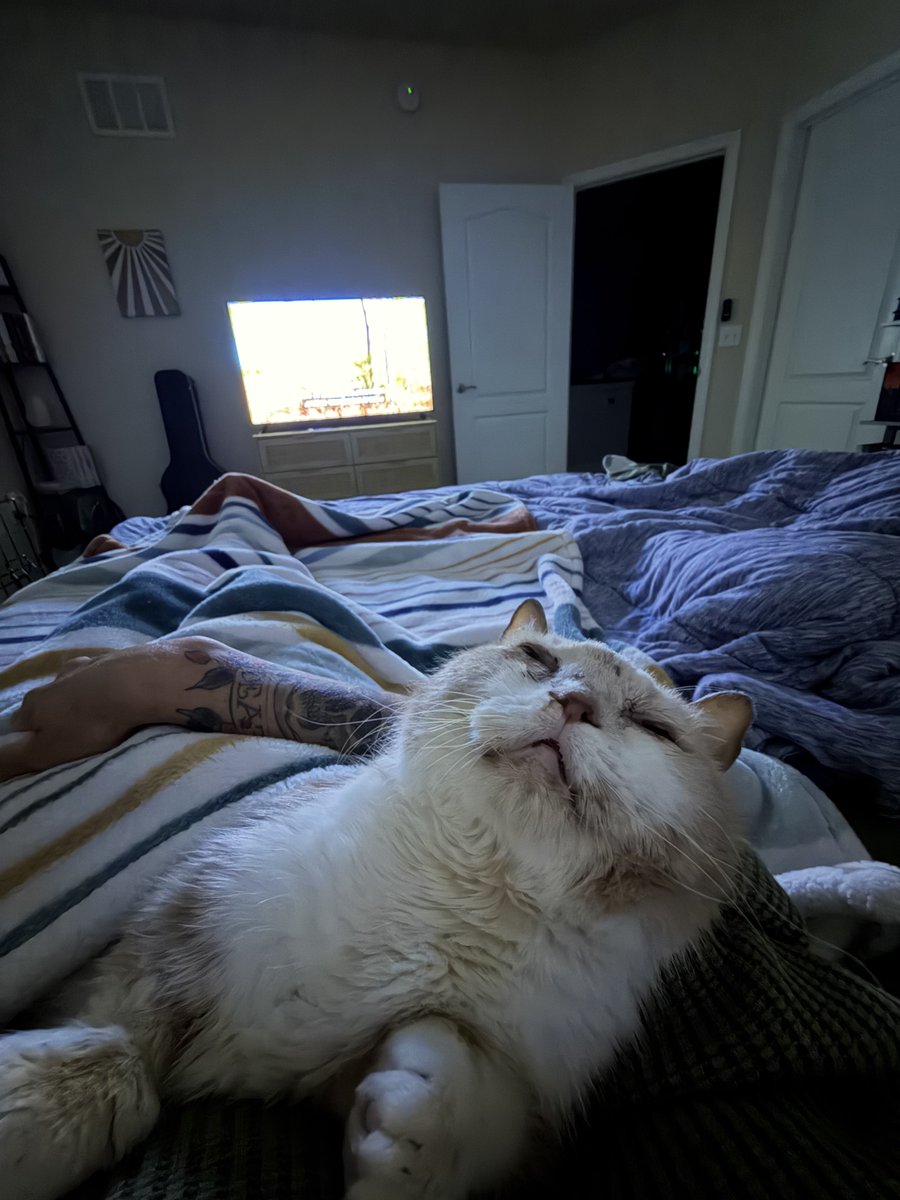 Stephanie Cavinder tweet media