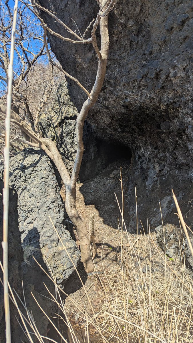 銭函トレッキング tweet media