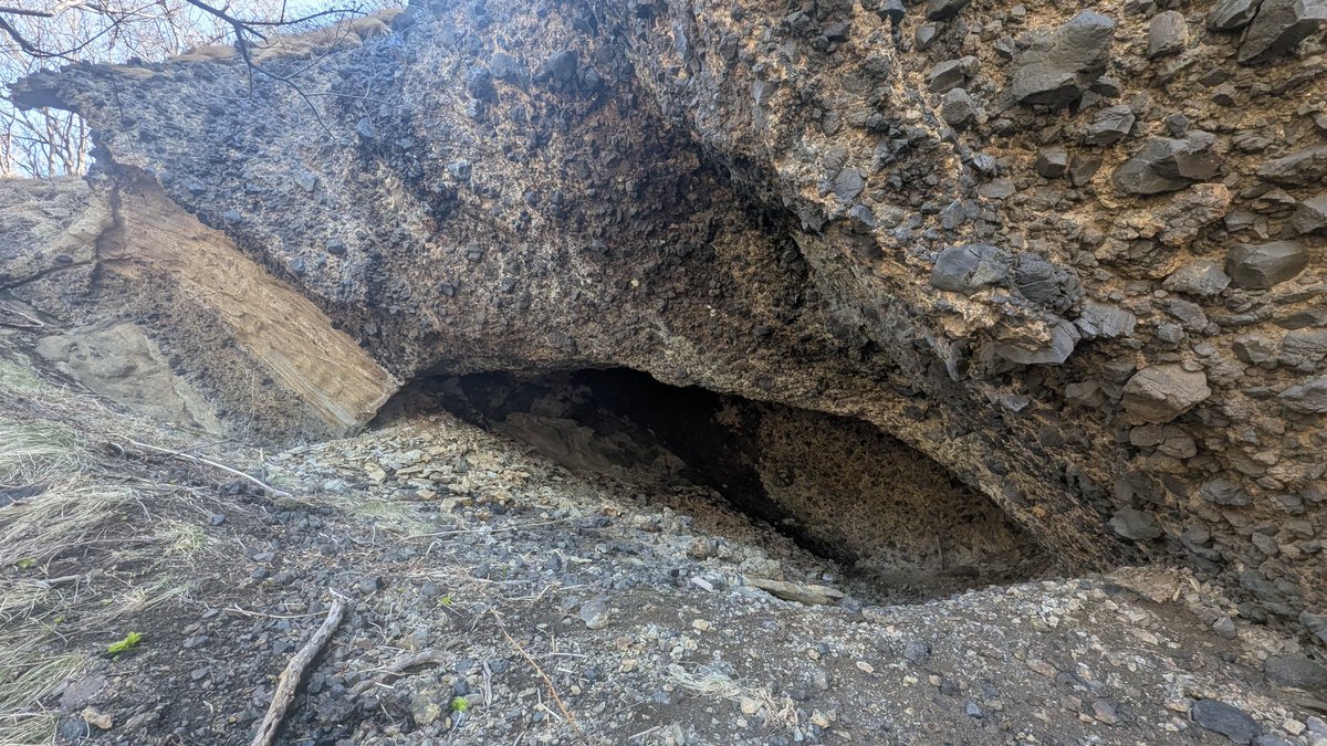 銭函トレッキング tweet media