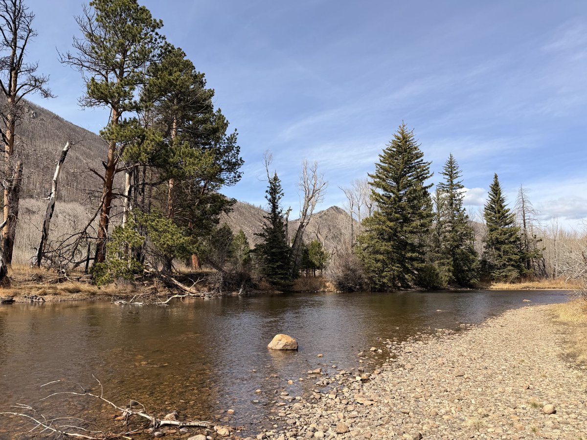 Rambo Van Halen tweet media