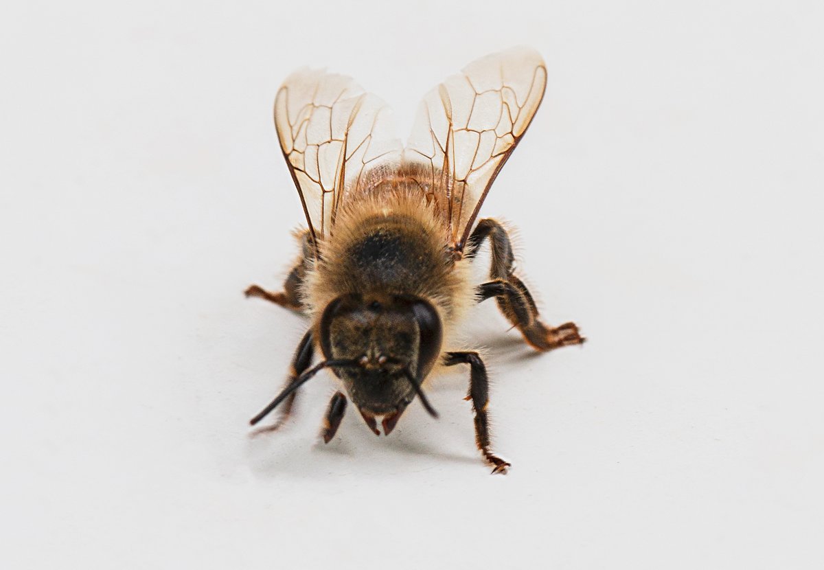 Clinton Kay tweet media