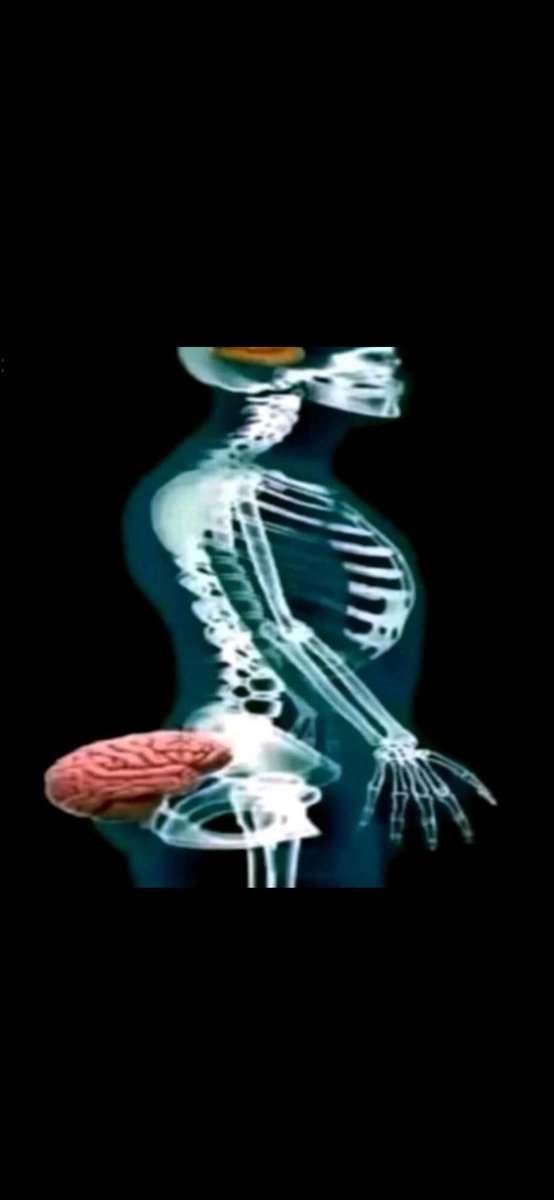 Tyler 🫐 tweet media