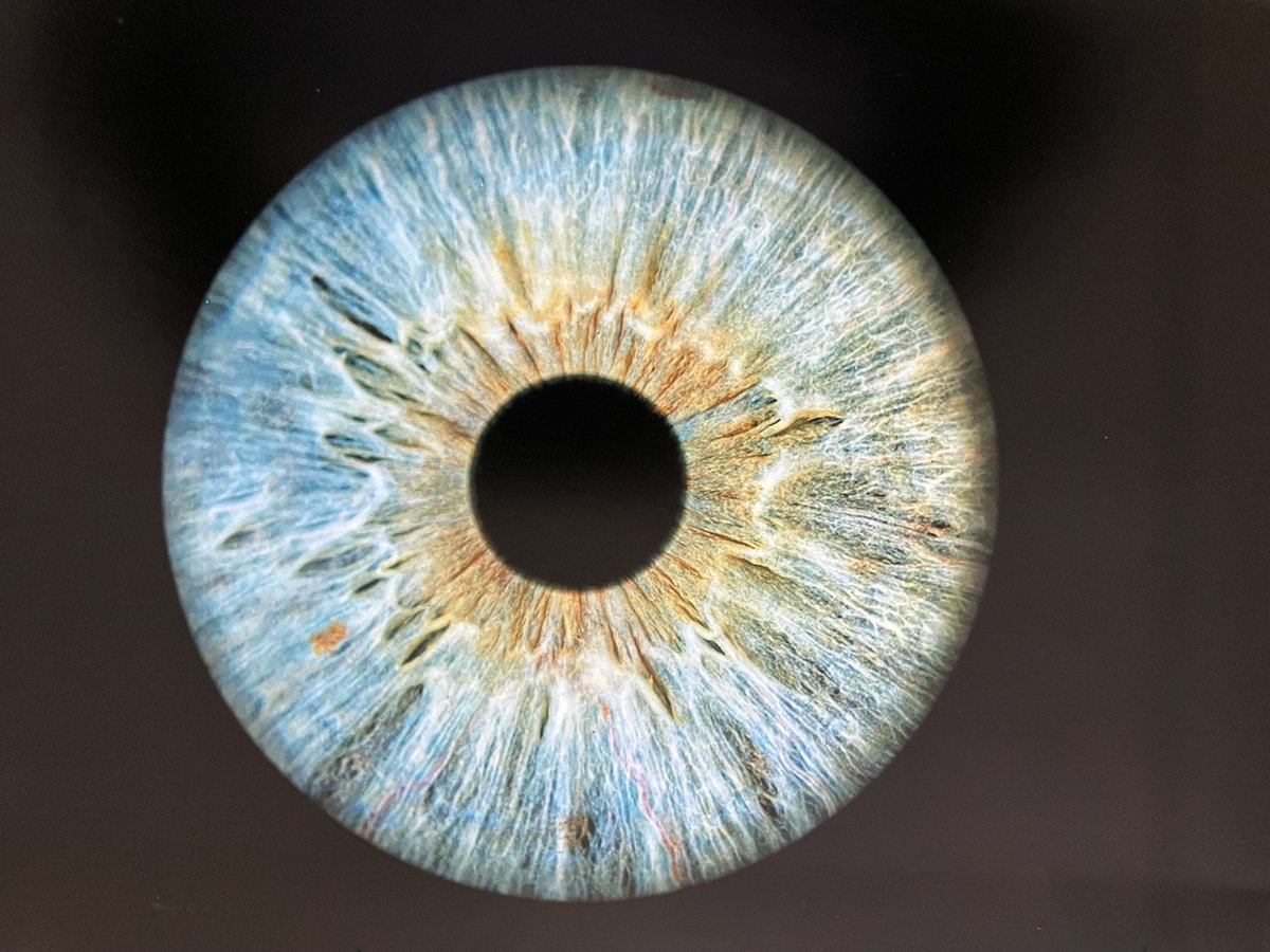 Clinton Kay tweet media