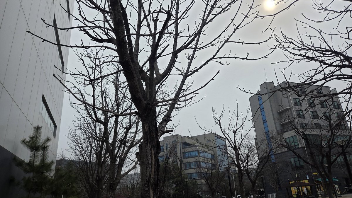 시작쒸 tweet media