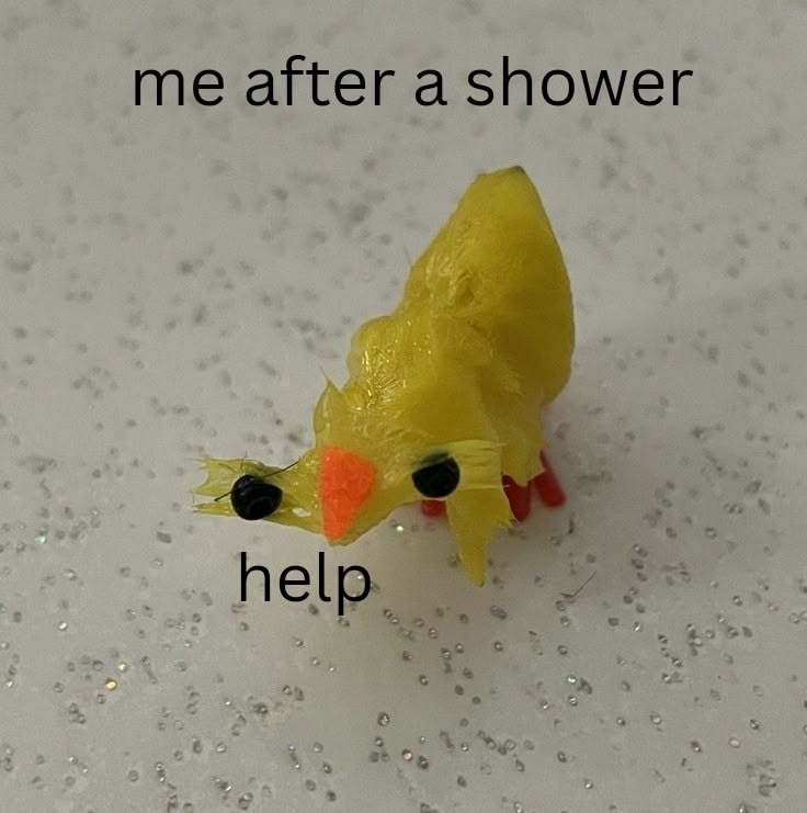 𝖈𝖍𝖆𝖇𝖆𝖟𝖎𝖙𝖊 tweet media