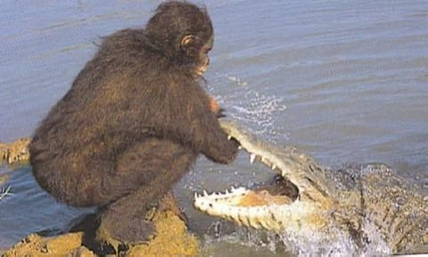 big tobacco theorist tweet media