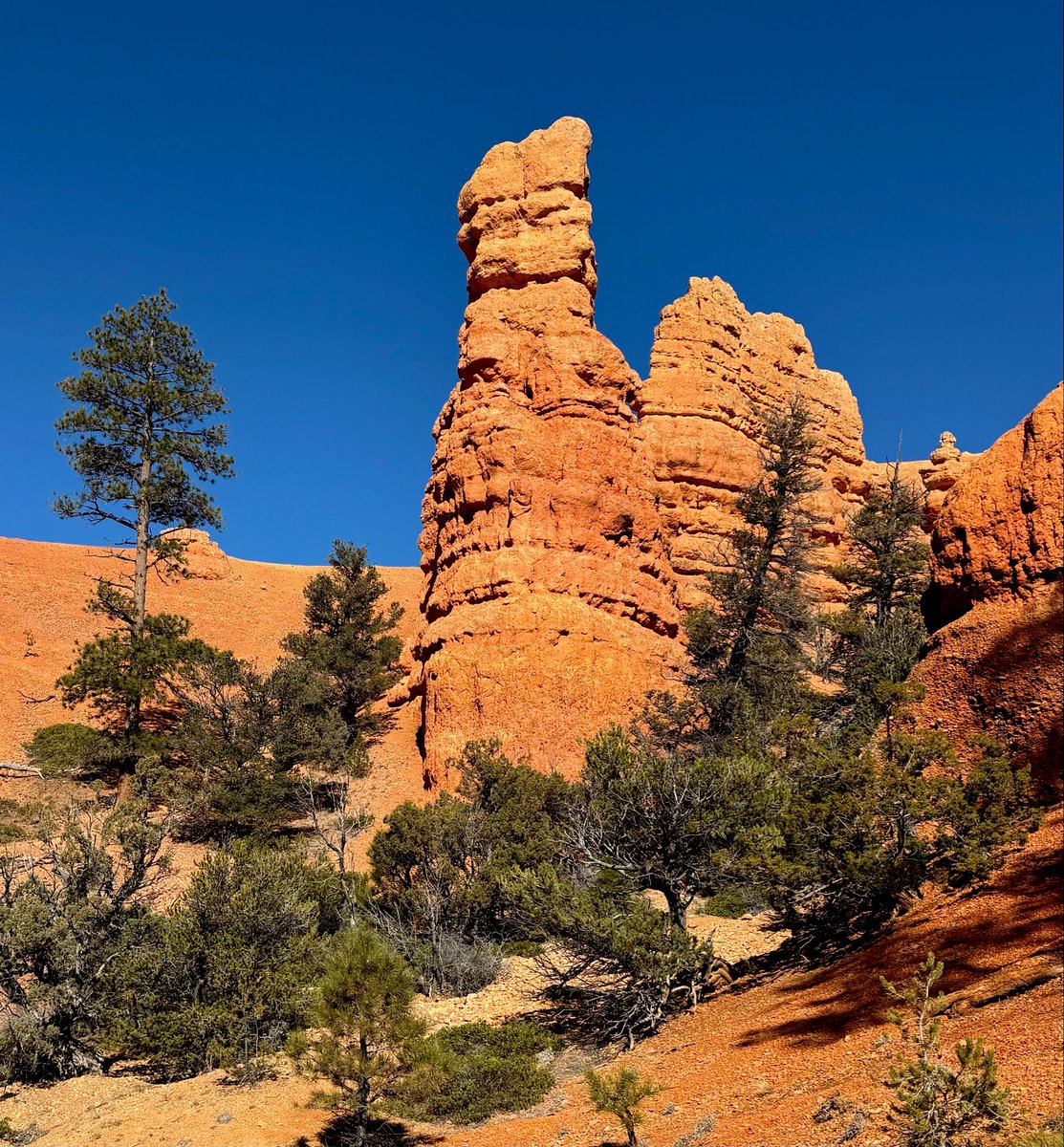 D Miller tweet media