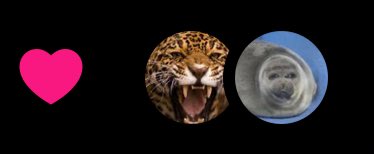 alyssa 🦭 tweet media