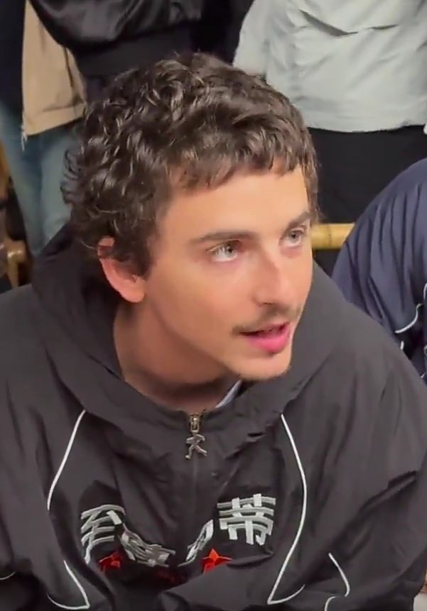 timothée chalamet's impregnator tweet media