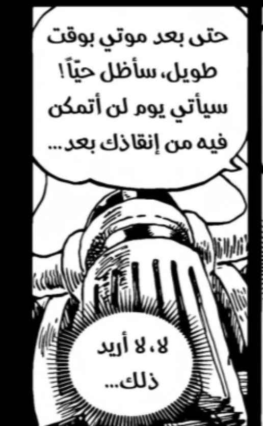 🦋❄️ tweet media