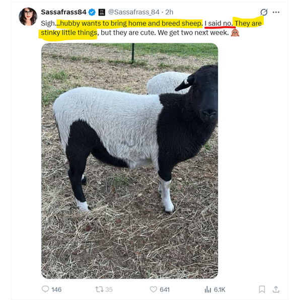 Lia tweet media