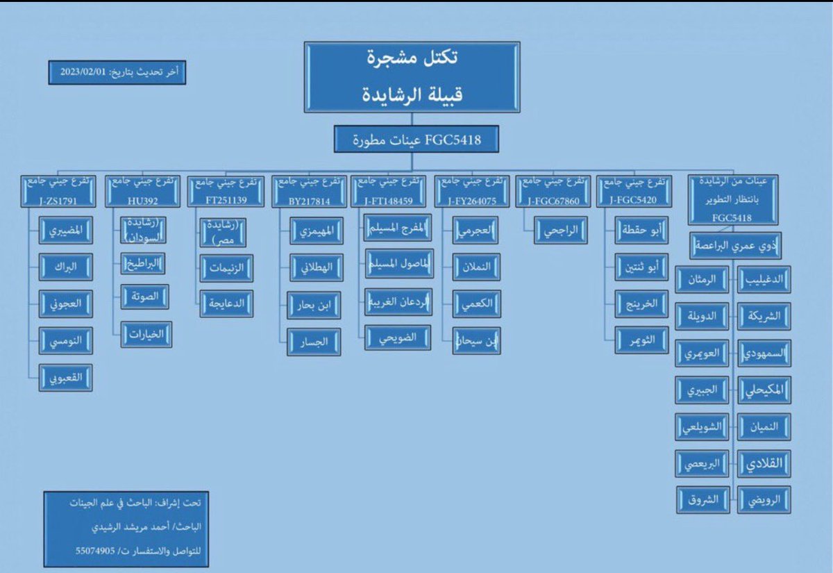 مركزبني رشيدالتاريخي tweet media