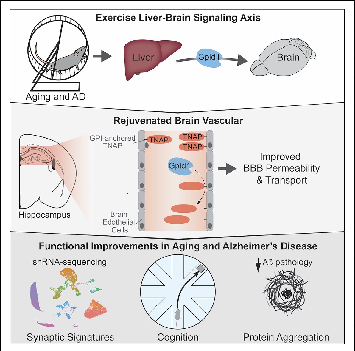 Eric Topol tweet media