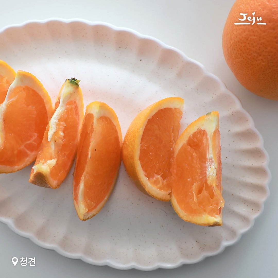 제주도 tweet media