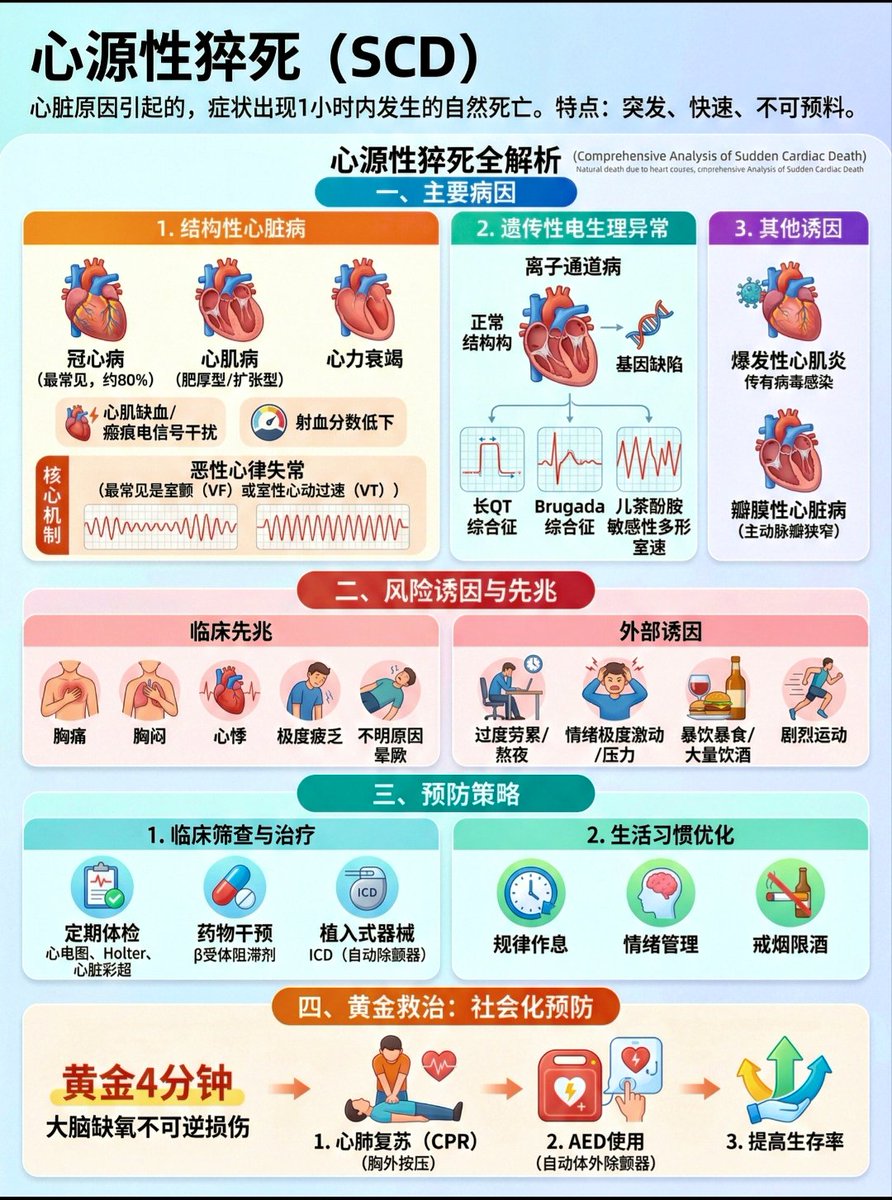 HotmailfromSH's tweet photo. 「一图读懂：心源性猝死（Sudden Cardiac Death）病因&先兆、预防及急救措施」