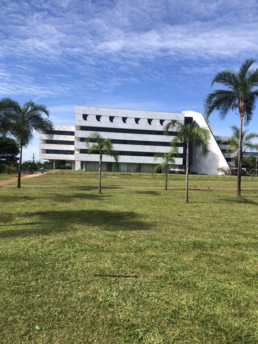 Lucas Cainã tweet media