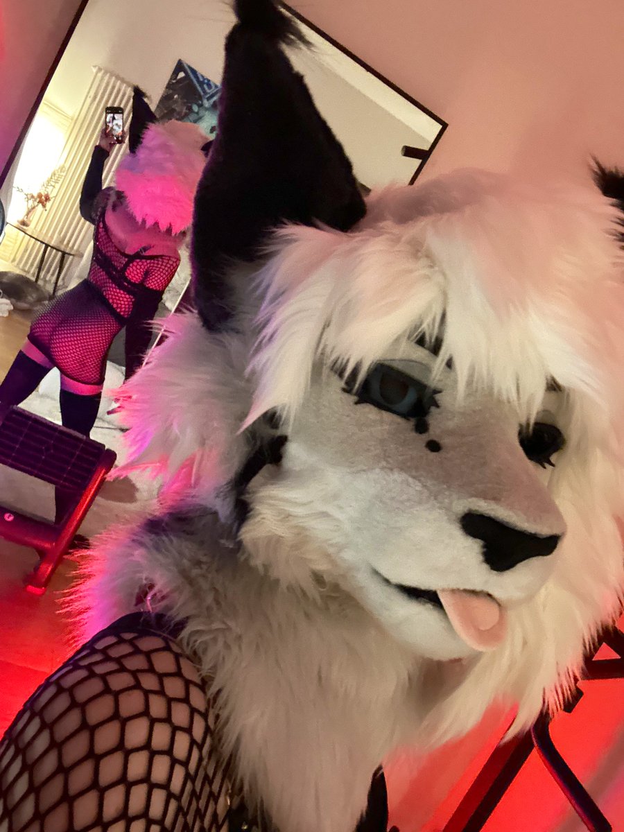 Skippy_AD tweet media