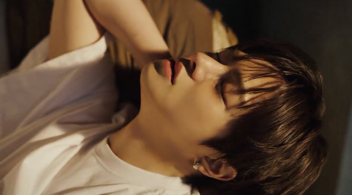 /ᐠっ˕ -マ tweet media