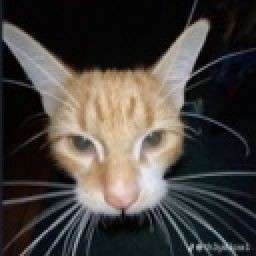 AqueleAeroporto🕷️🦇 tweet media