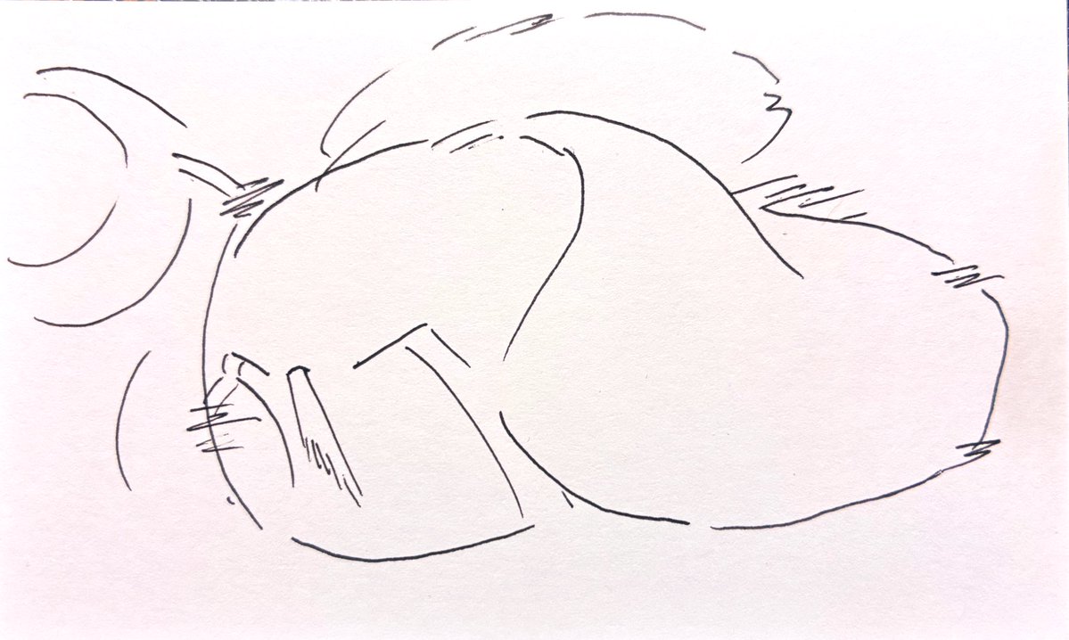 ビスケ tweet media