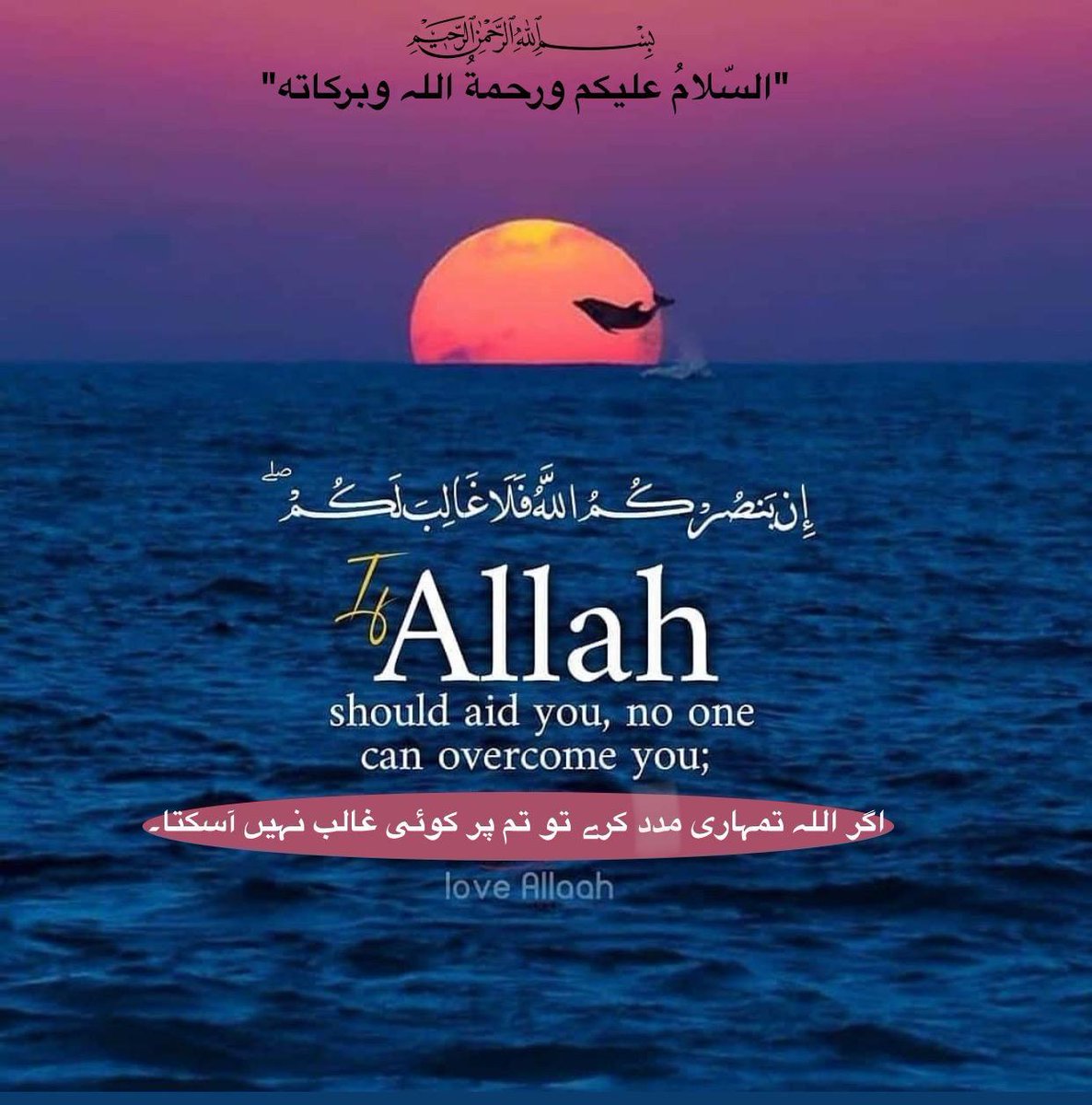 WAJAHATAML's tweet photo. https://t.co/uhkf73vzpc