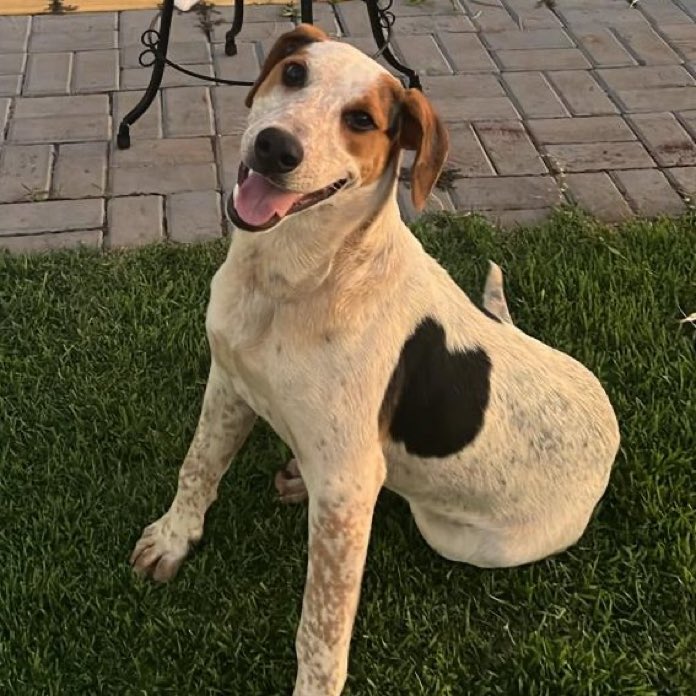 Marco Valverde ® tweet media