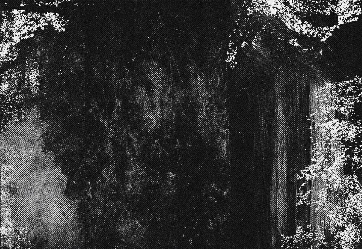 NexGridCo tweet media