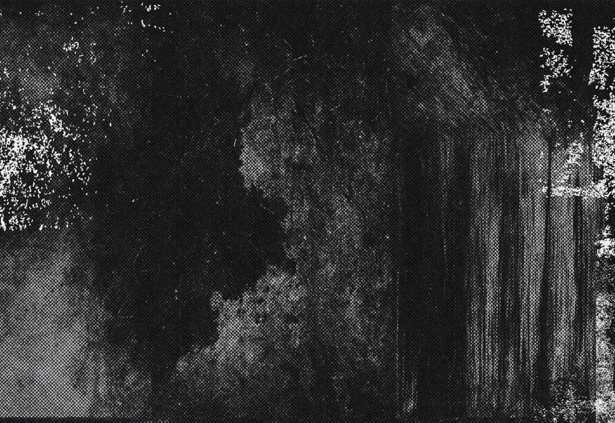 NexGridCo tweet media