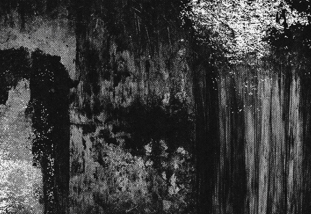 NexGridCo tweet media