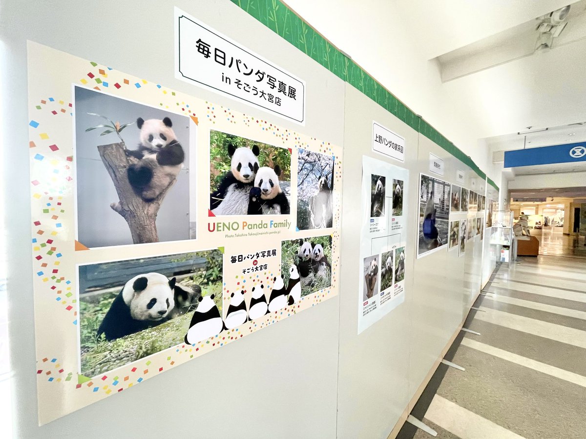 上野案内所 UENO Information Center【公式】 tweet media