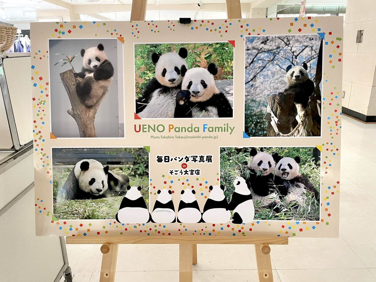 上野案内所 UENO Information Center【公式】 tweet media