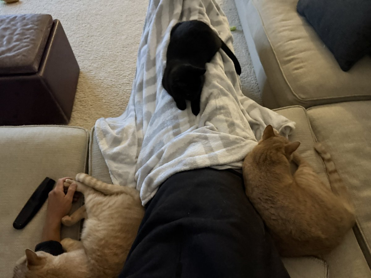 🏆The 5th Dentist tweet media