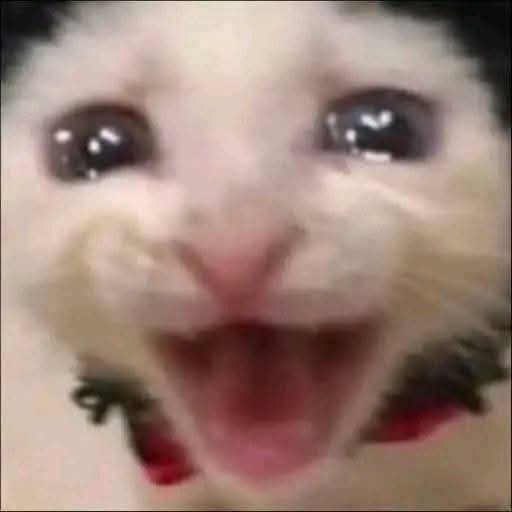 madii⁷☆ ENHYPEN IS SEVEN🧡 tweet media