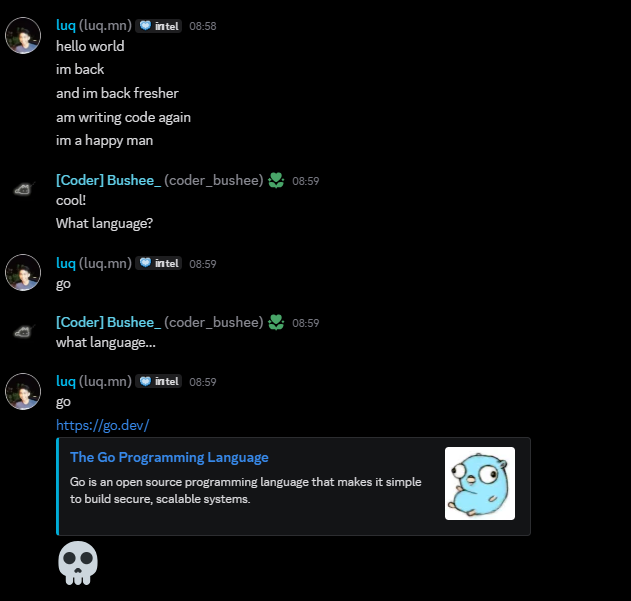 theluqmn's tweet photo. Helloo worlddd. What a way to start the day. #golang #go #discord https://t.co/eOPXB6EKPu