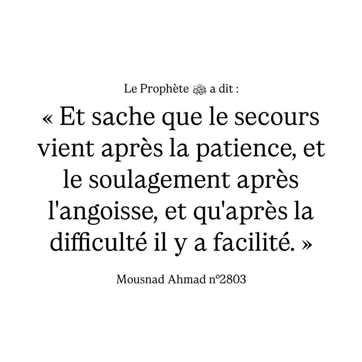 الفردوس tweet media