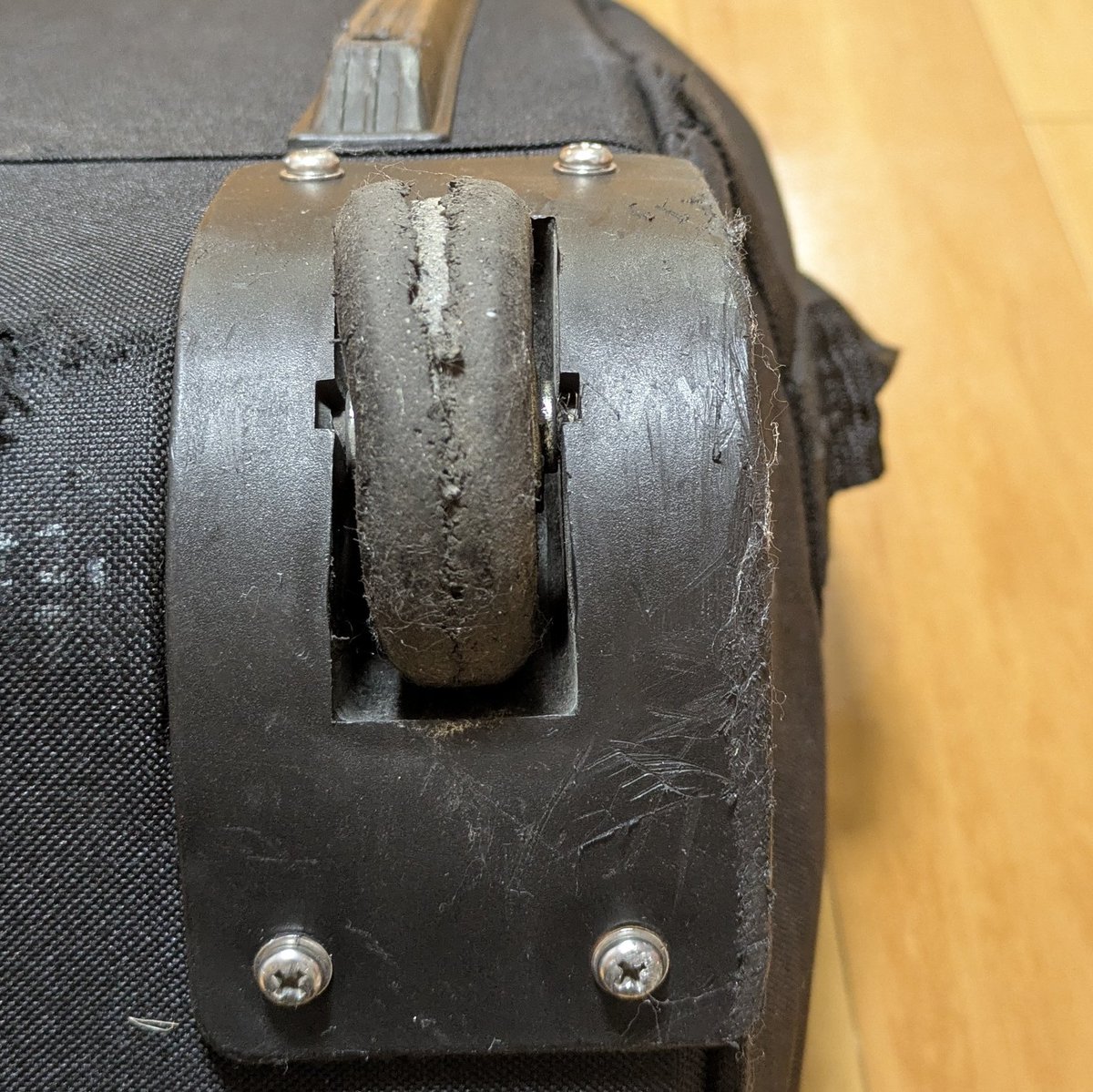 ダイビング部@京都 tweet media